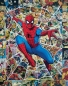 Preview: RANDY MARTINEZ: Legacy - Web of Spiderman