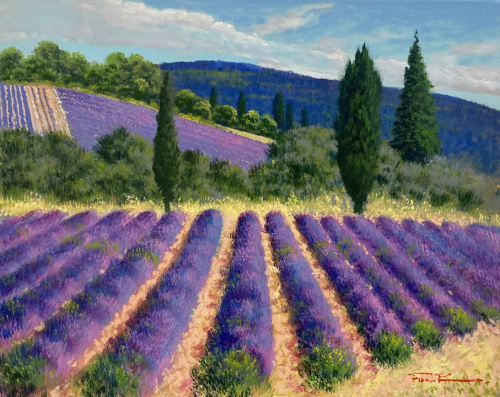 RAFFAELE FIORE: Lavendelfelder in der Toskana - Original