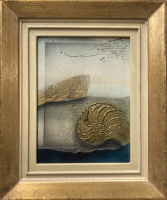 Reinshagen - Ammonit