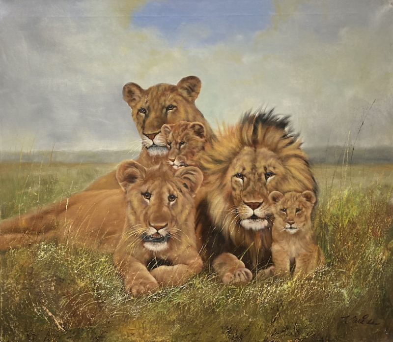 Kaiser - Löwenfamilie