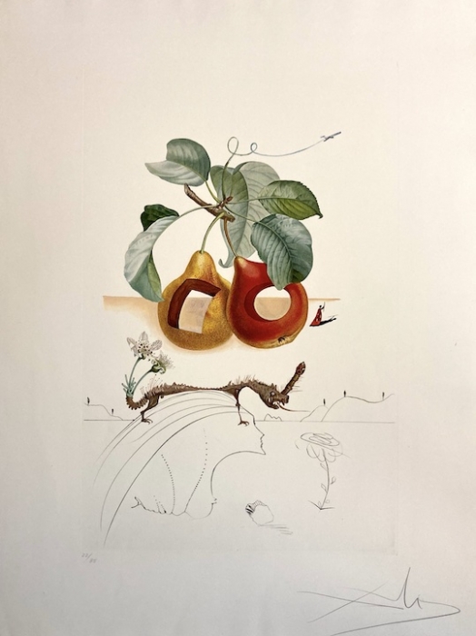 SALVADOR DALI: Fruits troués