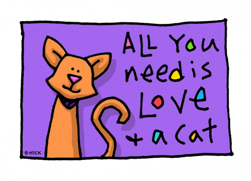 ED HECK: All You Need Is Love and a Cat