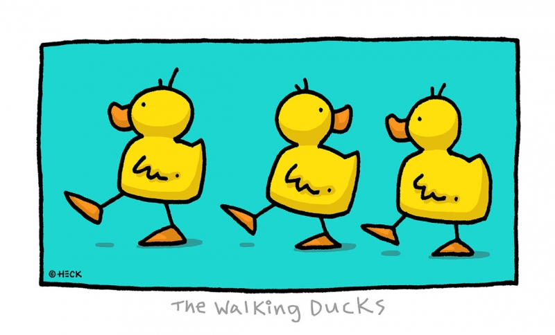 ED HECK: The walking Ducks