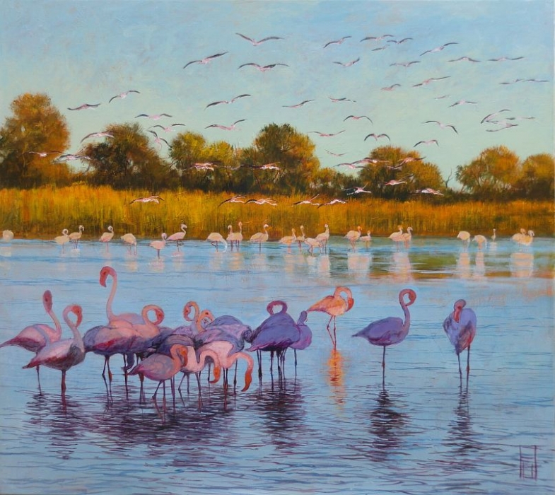 UWE HERBST: Flamingos in der Camargue