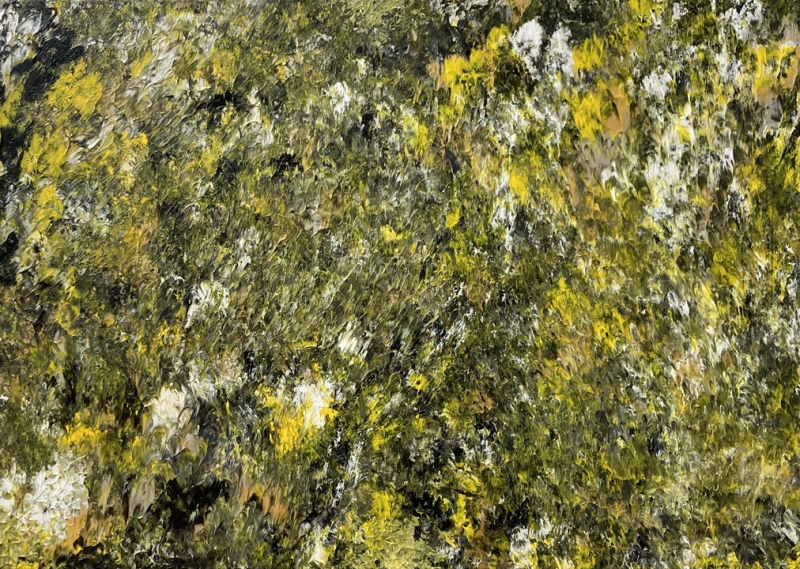 MALAK SAKER: The Storm